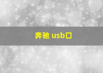 奔驰 usb口